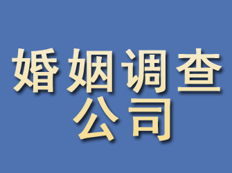 贞丰婚姻调查公司